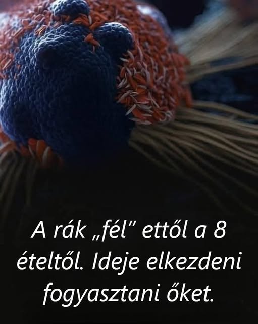 8 Eros Rakellenesnek Tartott Etel Amit Erdemes Gyakrabban Enni